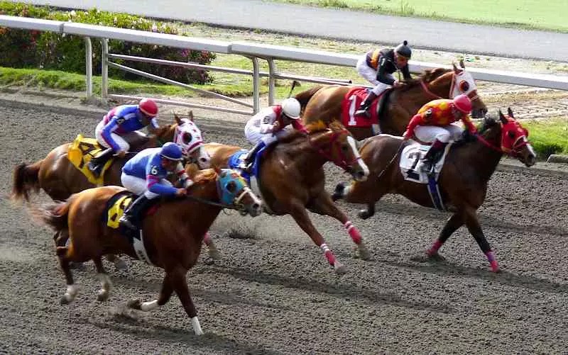 Hipódromo de las Américas