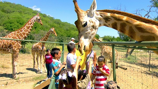 Bioparque Estrella