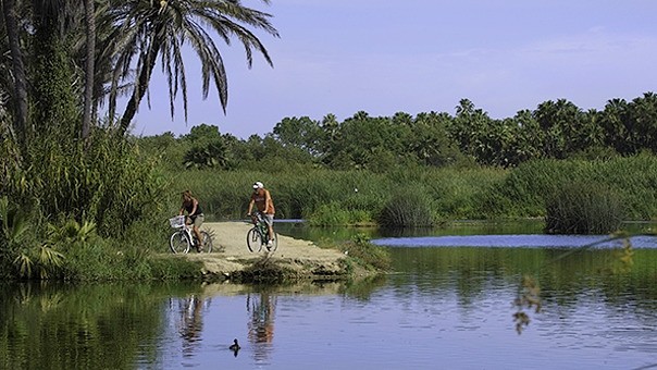 Estero San José