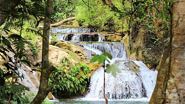 Tour a las Cascadas de Copalitilla y Llano Grande