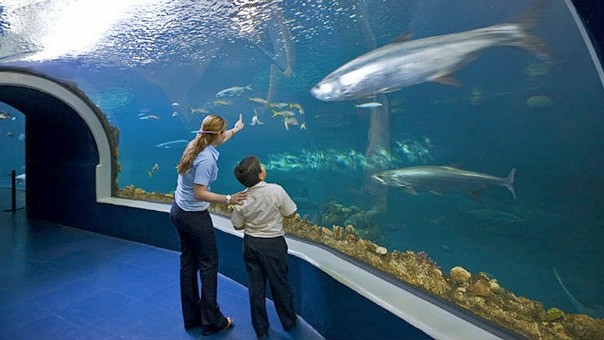 Acuario de Veracruz