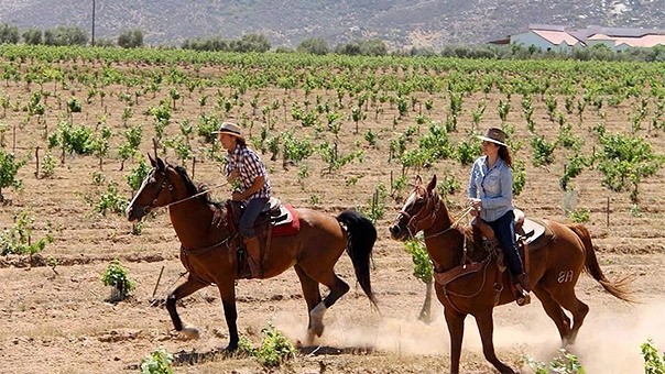 Comunidad Indígena de San Antonio Necua, Valle de Guadalupe