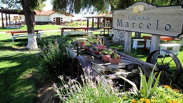 La Cava de Marcelo, Ensenada