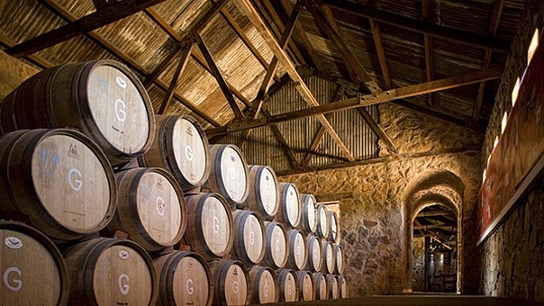 Cava Las Ánimas de la Vid, Valle de Guadalupe