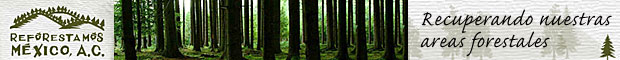 Reforestamos Mexico