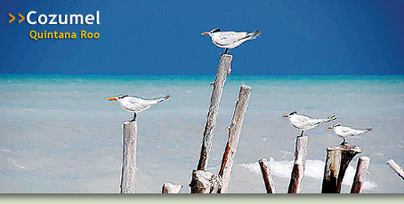 Cozumel - Cozumel, Quintana Roo