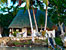 Hotel RANCHO ENCANTADO Bacalar (3 estrellas
Ecoturistico)