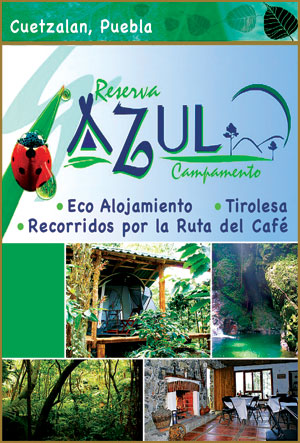 Recorridos a la Ruta del Cafe