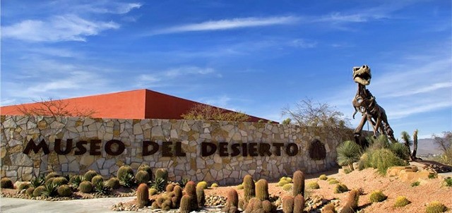 Museo del Desierto, Saltillo
