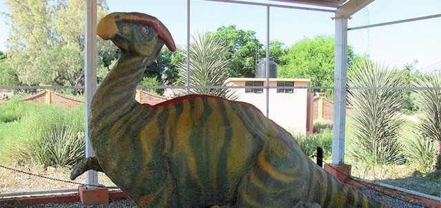 Museo Paleontológico de Rincón Colorado, Saltillo