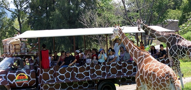 Zoológico de Guadalajara, lo mejor que hacer en Guadalajara, Jalisco |  ZonaTuristica