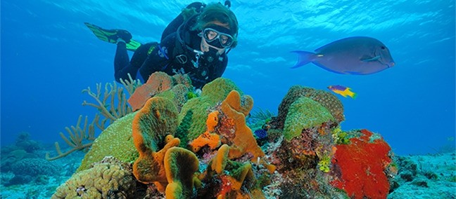 Cozumel Reef National Park