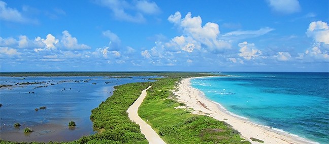 Parque Nacional Arrecifes de Cozumel, lo mejor que hacer en Cozumel, Quintana  Roo | ZonaTuristica