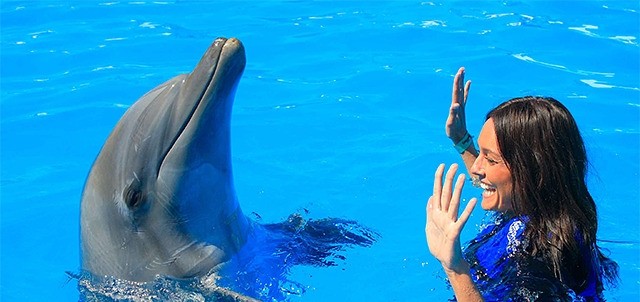 Nado con Delfines, Los Cabos