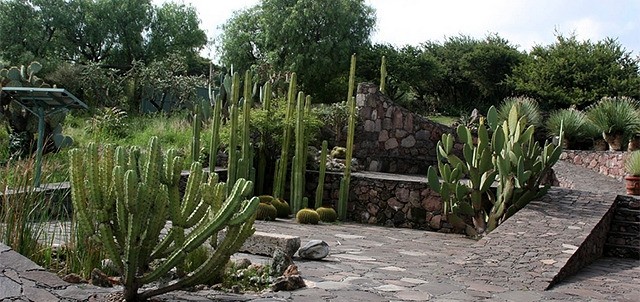 The Charco Del Ingenio Pond Of Ingenuity Botanical Garden One