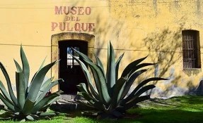 Museo del Pulque