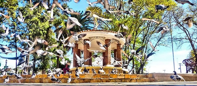 Parque Miguel Hidalgo ( Zócalo ), Tecate