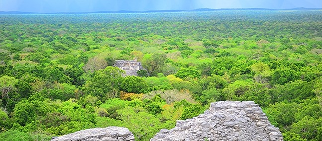 Reserva de la Biosfera de Calakmul