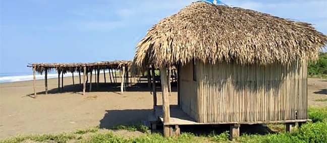 La Ceiba de Manguito, Tonalá