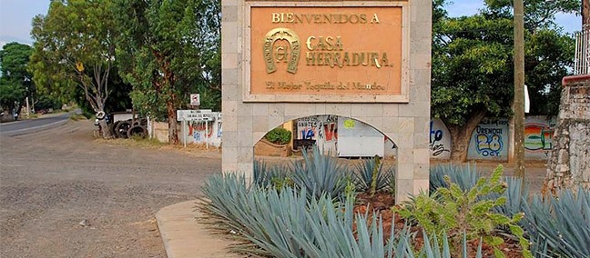 Tequila Herradura Express, Guadalajara