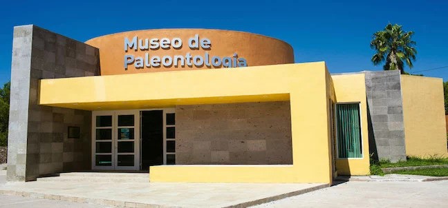 Museo de Paleontología, Múzquiz