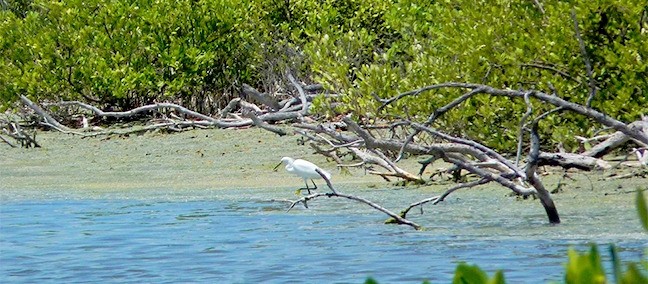 Parque Nacional Isla Contoy, Isla Mujeres