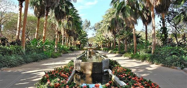 Jardín Botánico Culiacán, Culiacán