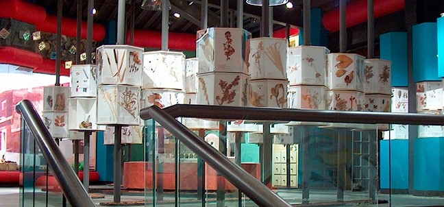 Museo Universitario Dr. Luis Mario Schneider, Malinalco