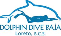 Dolphin Dive Baja