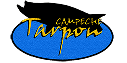 Campeche Taupon