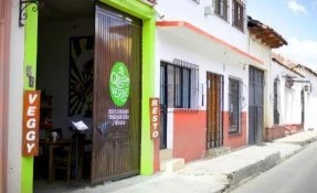 Te Quiero Verde, San Cristóbal de las Casas