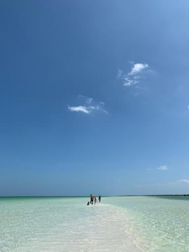 Casa Las Tortugas, Holbox