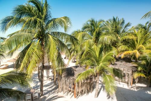 Casa Las Tortugas, Holbox