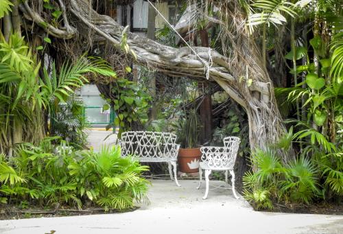 El Rey del Caribe, Cancún