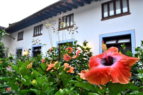 Mesón del Alferez Coatepec, Coatepec