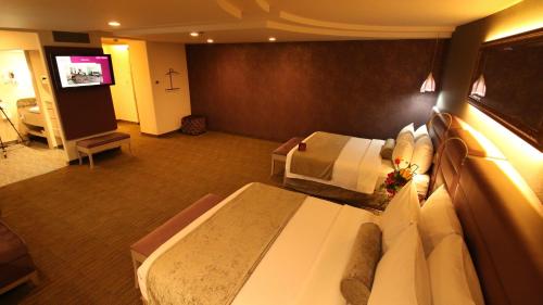 Crowne Plaza Toluca Lancaster, Toluca