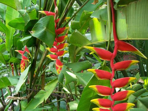 Posada El Jardín, Ticul