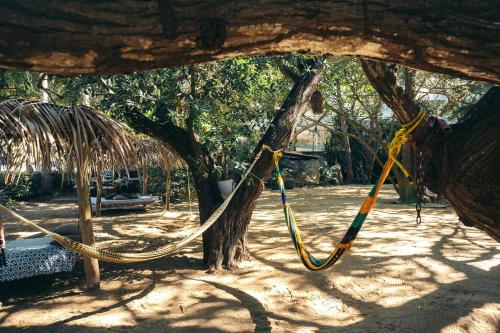 Junto al Río, Sayulita