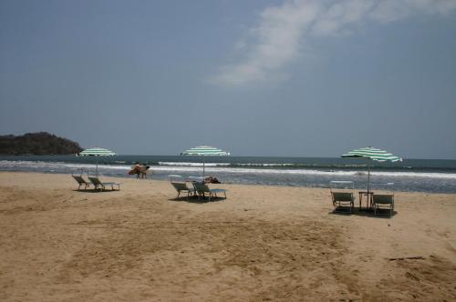 Junto al Río, Sayulita