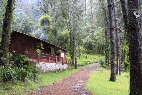 Cabañas Alpinas López Fontes, Valle de Bravo