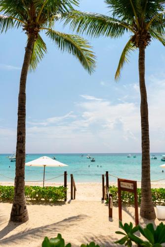 The Reef Coco Beach, Playa del Carmen