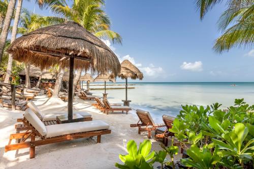 Beachfront La Palapa, Holbox