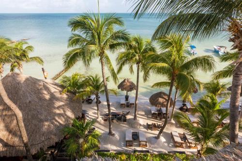 Beachfront La Palapa, Holbox