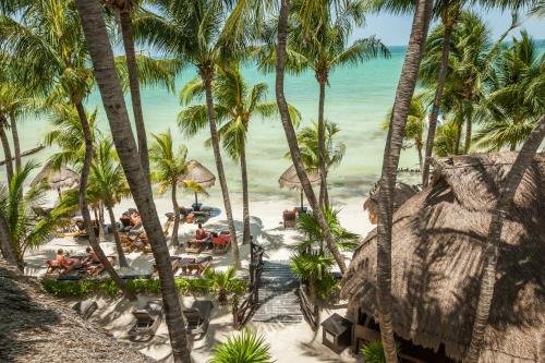 Beachfront La Palapa, Holbox