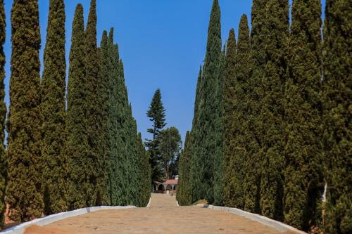 Rancho el Parral, Valle de Guadalupe