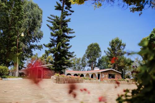 Rancho el Parral, Valle de Guadalupe