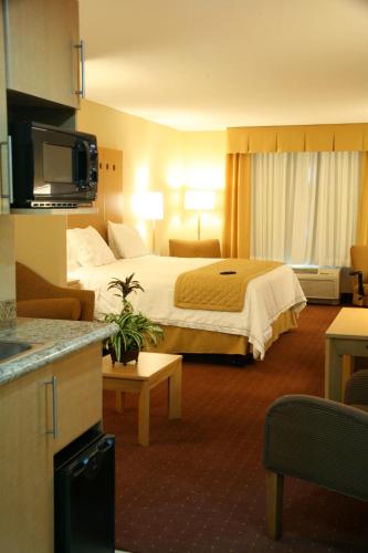 Holiday Inn Express Saltillo Zona Aeropuerto, Saltillo