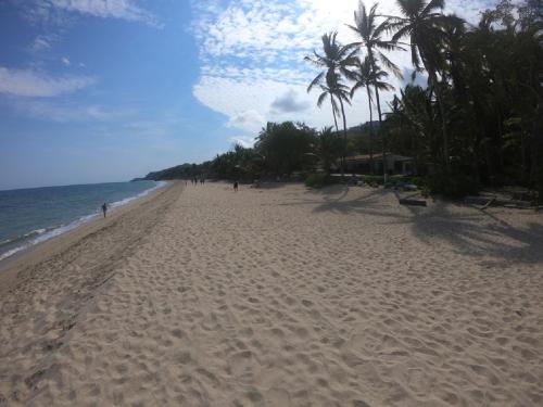 Mar y Sueños, Sayulita