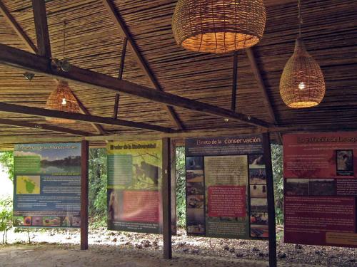 Campamento Río Lacanjá, Lacanjá