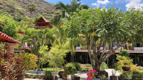 Casa de la Abuela, Ajijic